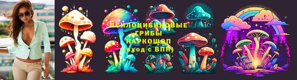 apvp Карпинск
