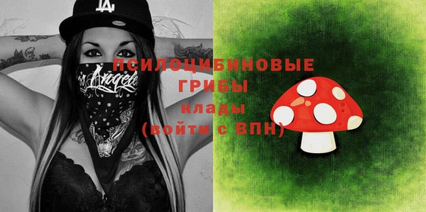 apvp Карпинск