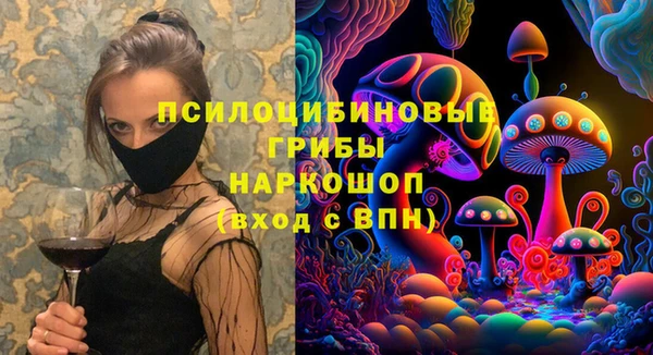 бутират Гусь-Хрустальный