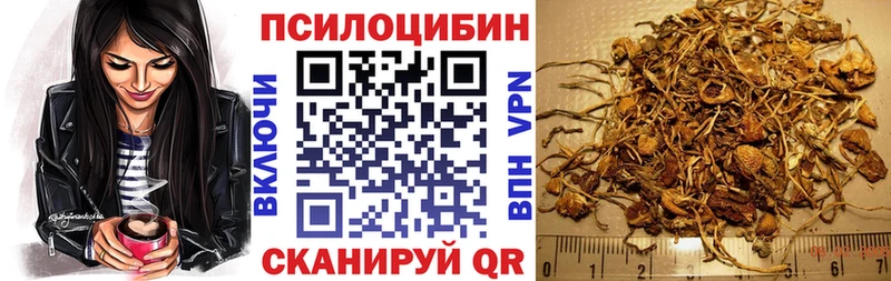 Псилоцибиновые грибы GOLDEN TEACHER  купить  цена  Кашин 